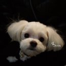 신월동070 이미지