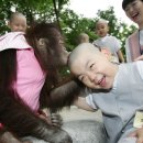 동물원 Daum카페