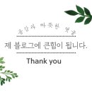 바로커 태권도 교육관 이미지