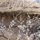 평사리가는길 이미지