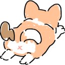 발리다포차 서산호수공원점