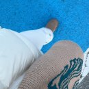 토요일 토론은 즐거워 | 올타임 광기에 찬 NOV