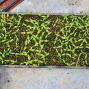 월현로3 이미지