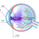 우리안경콘택트 이미지