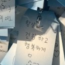 제주일상 이미지