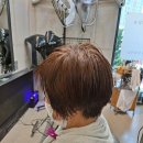 티엔케이미용실 이미지