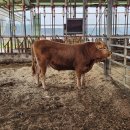 중우축산 이미지