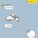 한국복지대학 기숙사 | #1 독일 교환학생 일상 | 입독 후 적응기, 비스바덴 콘라드 기숙사, 라인마인대학 웰컴 데이