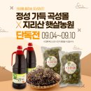 보물몰