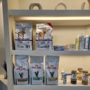 본바른 동물의료센터 이미지