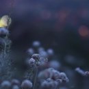 잠실엘스상가A동 이미지