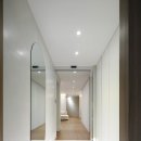 동아목련 이미지