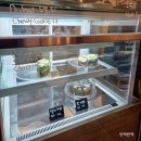 어라운드 크림 | 성수 애견동반 카페 어라운드데이 피스타치오 크림 라떼 내돈내산 후기