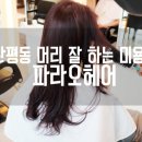 파라오헤어
