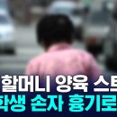 70대 할머니 양육 스트레스...초등학생 손자 흉기로 찔러 이미지