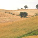 상인서한 | 신장웨이우얼(新疆维吾尔, 신강유오이) 창지(昌吉, 창길) ; 치타이셴(奇台县, 기태현) 장부라커(江布...