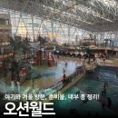 오션월드목욕탕사우나 | 비발디파크 오션월드 겨울 준비물 수건 아쿠아슈즈 구명조끼