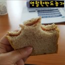영월한반도농장 네이버블로그