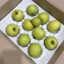 골드앤골드 | 경북 청송 시나노골드 사과 후기 [아침앤과일]