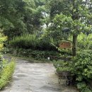 노리매 | 제주) 애견 동반 제주 관광지 추천, 제주 산책코스 잘 되어있는 여행지 / 노리매