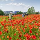 수원농장 이미지