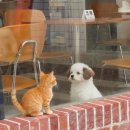 바버멍 | 사적인 후기를 쓰자^^*
