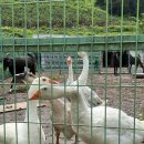 소민농장 이미지