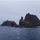 들꽃사랑 이미지