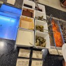 번째 여행기록 #2 여행 1일차 (마티나라운지, 이스타항공 기내식, 깜라인국제공항, 패스트트랙, 버고호텔)