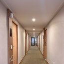 제주로베로아넥스 이미지