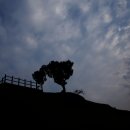 당포의아침 이미지