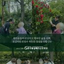 의료법인 안심의료재단 네이버블로그