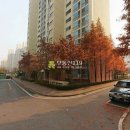 산현로 17번길 이미지