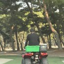 미리 즐긴 할로윈캠핑 /몽산포감성캠핑장