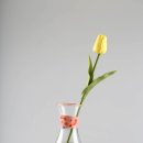 다정한공방 이미지