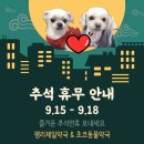 초코약국 이미지