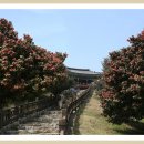 동백IC주유소 이미지