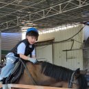 대동산업(주) | 김해 학생승마체험 후기 🐎 BK승마랜드 5주 과정 포니3급 합격까지
