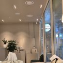 계룡로 132번길 | [대전두피클리닉] 모바이오 유성점에서 대전탈모 관리한 후기