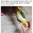 세용 농장 | [여행] 가족과 함께 속초 1박2일같은 2박 3일 < 2일차>