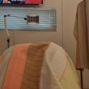 에덴여성의원 이미지