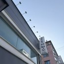 경기도 수원시 팔달구 경수대로604번길 | (내돈내산) 곤드레향기 동수원점 깔끔하고 맛있어요