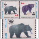북극곰, 유럽불곰 외 곰 종류 이미지