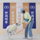 수원시동물보호센터 동물병원 이미지