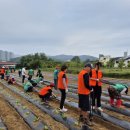 새사랑농장 이미지