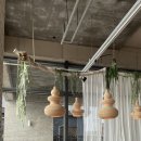 트로피컬하이드어웨이 이미지