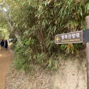 태하 카카오 검색결과