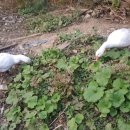 경중농장 이미지