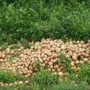 대자경로당 이미지