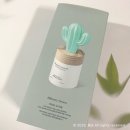 한라산 만세로점 | # 인테리어용 비누향 석고 디퓨저 추천 / 라운드어라운드 만세선인장 디퓨저 (내돈내산)